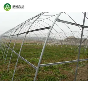 50x8m Vegetable Tomato Single Span PE Plastic Tunnel Greenhouse Sale thumbnail-2