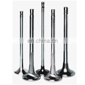 Professional Manufacturer Motorcycle Inlet Exhaust Engine Valve For Bajaj Pulsar 150 180 200 Avenger 2dts DTS-i ug Dtsi thumbnail-5