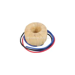 Single Phase and Audio Usage Toroidal Transformer thumbnail-1