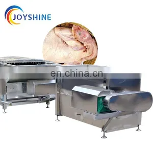 Chicken Scalding Machine / Chicken Scalder & Plucker Machine For Sale / Chicken Poultry Plucker thumbnail-6