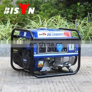BISON(CHINA) Generador Electrico 1000W Generator Silent 1Kw Price thumbnail-1