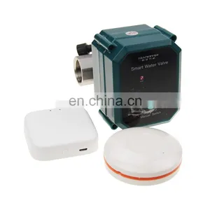 Smart Home Wifi Tuya App Control Garden Irrigation Smart Water Timer Smart Water Valve thumbnail-1