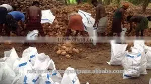 Fresh Vegetable and Fruit Supplier thumbnail-4