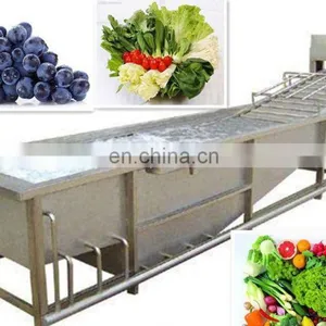 Full Automatic Frozen Vegetable and Fruit Washing Line Broccoli Processing Machine Frozen Fruit Processing Line Machinery thumbnail-2