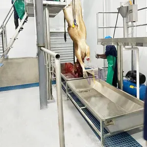 Cow Slaughter Line Collect The Cattle Blood For Cattle Abattoir Machine thumbnail-3