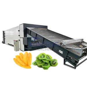 Herb Dehydrator Meat Fish Coffee Bean Dryer Machine Spices Cassava Mango Drying Machine EPC thumbnail-1