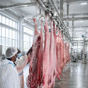 Turnkey Complete Automatic Pig Slaughter Line SUS304 Hot Dip Galvanized Thermal Zinc Sprayed Hog Abattoir Processing Equipment thumbnail-1