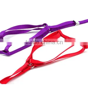 Wholesale New Fluorescent Color Chest Straps High Quality Nylon Pet Harness Leash thumbnail-3