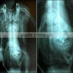 Best Selling X-ray Film ,printer X-ray Medical Printer,packaging High Quality thumbnail-1