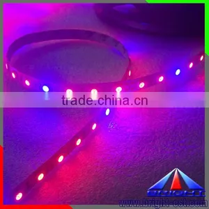Red and Blue Color Grow Light Flexible Led SMD 5050 thumbnail-3