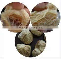 DXY Tissue Protein Machinery/Production Line/Processing Line thumbnail-5