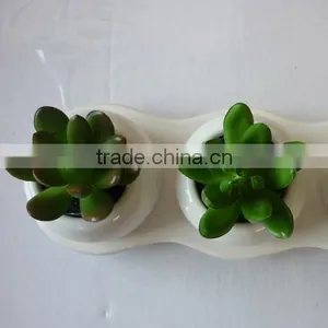 Making Artificial Bonsai Trees for Sale Indoor Decoration thumbnail-6