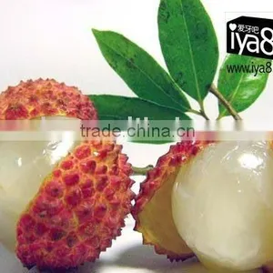 Canned Lychee With Wonderful Pulp and Taste thumbnail-1