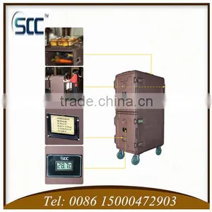 Cater Equiptments 165L Coffee Color Hot Food Catering Cabinet (double Door) thumbnail-3
