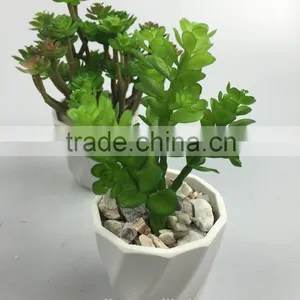 Factory Direct Handmade Decoration Artificial Succulents Potted Plant thumbnail-3