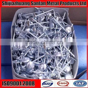 Umbrella Head Galvanized Twisted Shank Roofing Nail BWG9X2.5" thumbnail-1