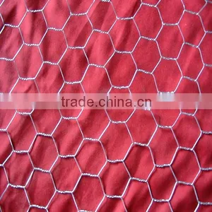 Pvc Chicken Coop Galvanized Wire Mesh thumbnail-6