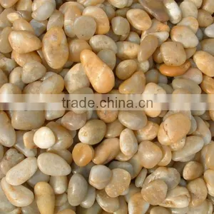 Yellow Cobble thumbnail-1