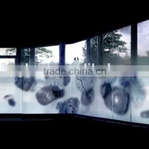 Factoty Price Xiamen Sino Glass Art Glass Partition thumbnail-1