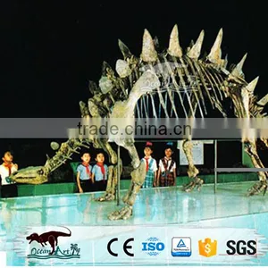 OA-SD-L14 Dinosaur Park Skeleton Model Bone Fossil thumbnail-3