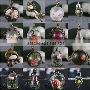 Wishing Bottle Fashion Sweater Chain Dried Flower Moss Pendant Necklace For Gift thumbnail-4