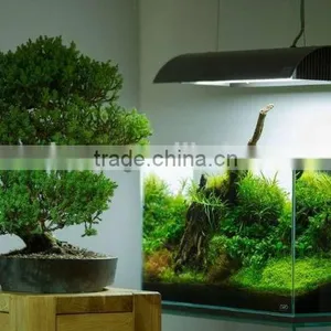 DICI Hot Sale OEM Ultra Glass Aquarium Fish Tank thumbnail-4