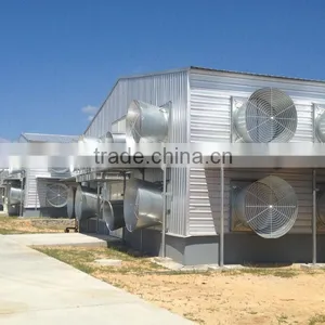 Steel Structure Poultry House QDXR14C-02F-01 thumbnail-3