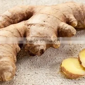 FRESH GINGER AND DRIED GINGER VIETNAM PACKING IN MESH BAG OR CARTON thumbnail-5