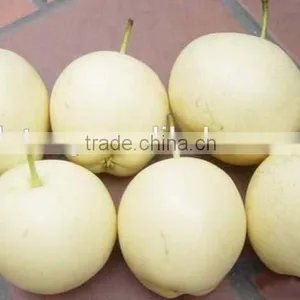 China Fresh Emerald Pear With Cheap Price and Good Quality thumbnail-3