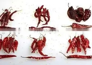 S17 / Teja Chilli thumbnail-2