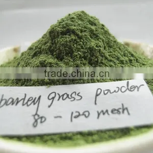 Hot Sale Barley Grass Powder thumbnail-1