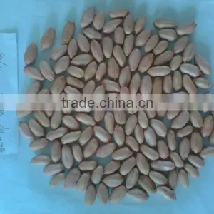 FLOWER11 FLOWER 17 PEANUT KERNEL thumbnail-1