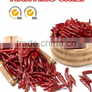 Hot Small Chaotian Chili thumbnail-4