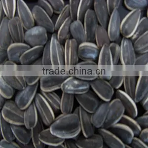 China Sunflower Seeds 118 Hot Sale-2016 New Crop thumbnail-3
