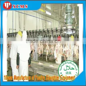 Good Halal Chicken Slaughter Line/slaughterhouse Equipment thumbnail-2