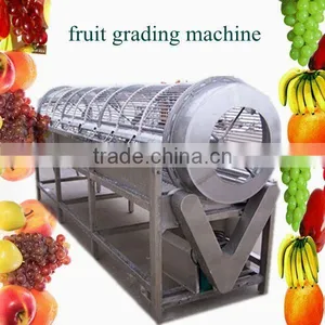 Apple Grading Line thumbnail-1