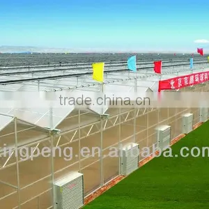 Venlo Roof Type Glass Greenhouse thumbnail-2