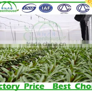 Solar Greenhouse For Agricultural thumbnail-5
