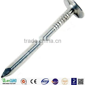 Common Nails for Construction Usage Iron Nails thumbnail-1