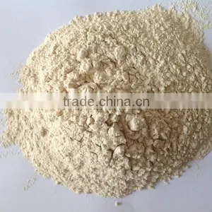 75% Food Grade Vital Wheat Gluten thumbnail-1