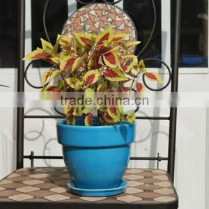 Indoor Ceramic Glazed Plant Pots thumbnail-1