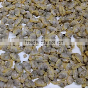 Frozen Boiled Baby Clam Meat thumbnail-1