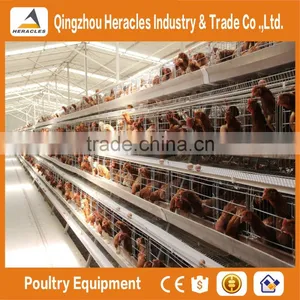 High Quality Cheap Poultry Cage Layer Chicken Used Chicken Cage thumbnail-2