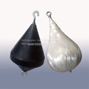 Pendulum Shock Device for Lifts thumbnail-1