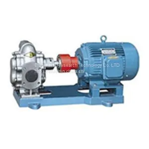 Series Stainless Steel Gear Pump (135-960) thumbnail-1