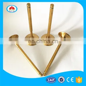 Highest Quality Autocar Parts New Engine Valves for Porsche Cayenne 958 957 e 955 thumbnail-4