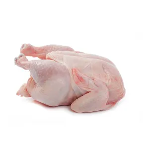 2021 Best Sale A Grade Quality Halal Frozen Chicken Meat thumbnail-3