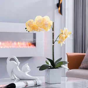 Product Photography, Furniture Photography, Lifestyle Photography, Product Photo Shoots thumbnail-2