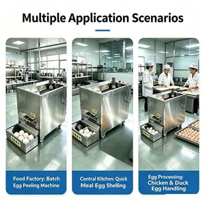 3600pcs/h Egg Peeling Machine Automatic Boiled Egg Sheller for Chicken and Duck Egg Processing 220V 500W thumbnail-4