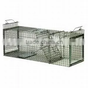 Mouse Trap thumbnail-1